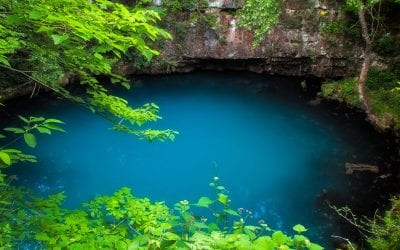 Round Spring